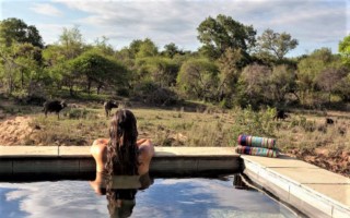 Thornybush The River Lodge [320x200]
